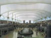 Denver International Airport thumb